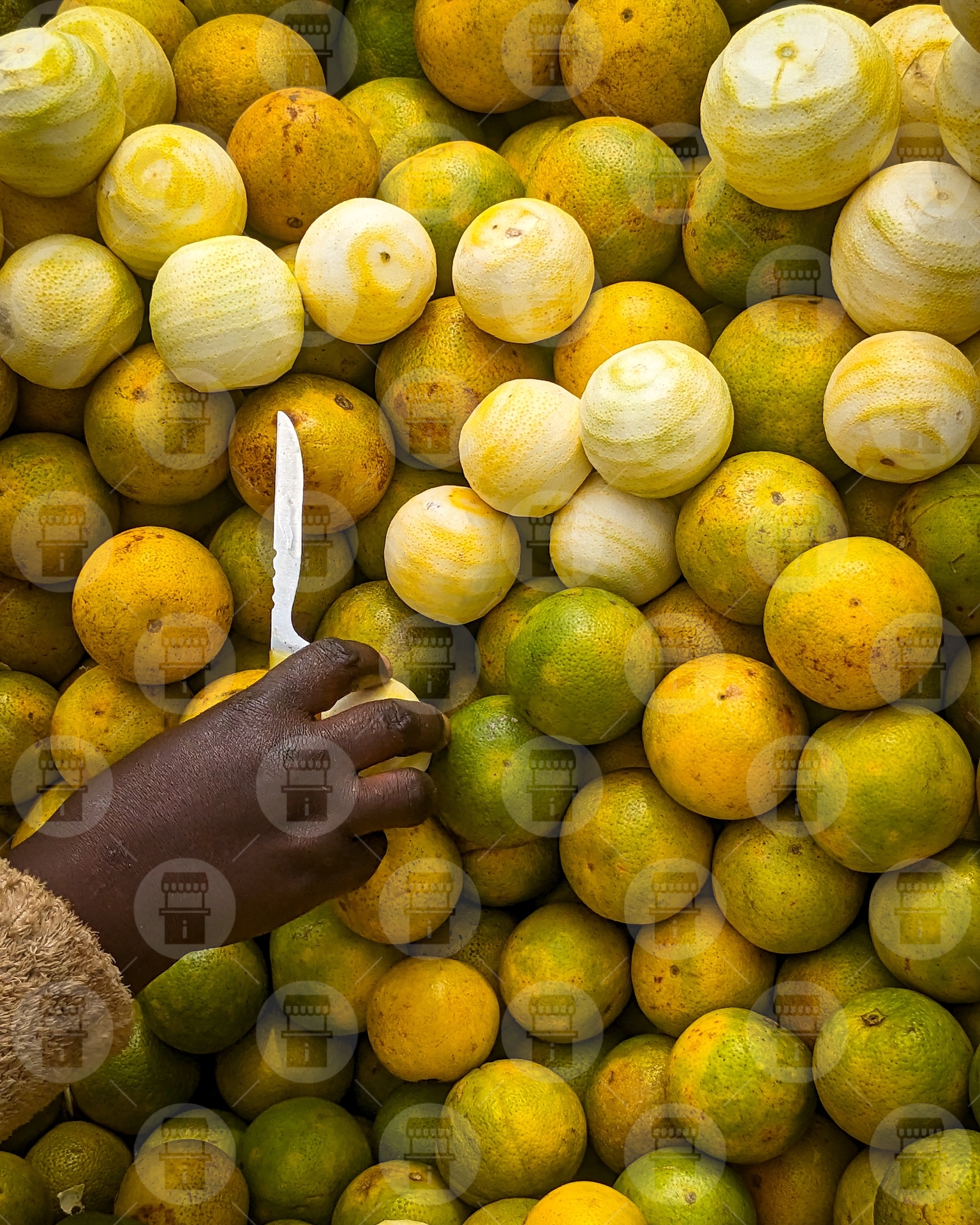 Oranges 