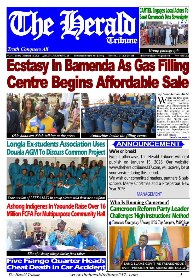 The Herald Tribune N°331